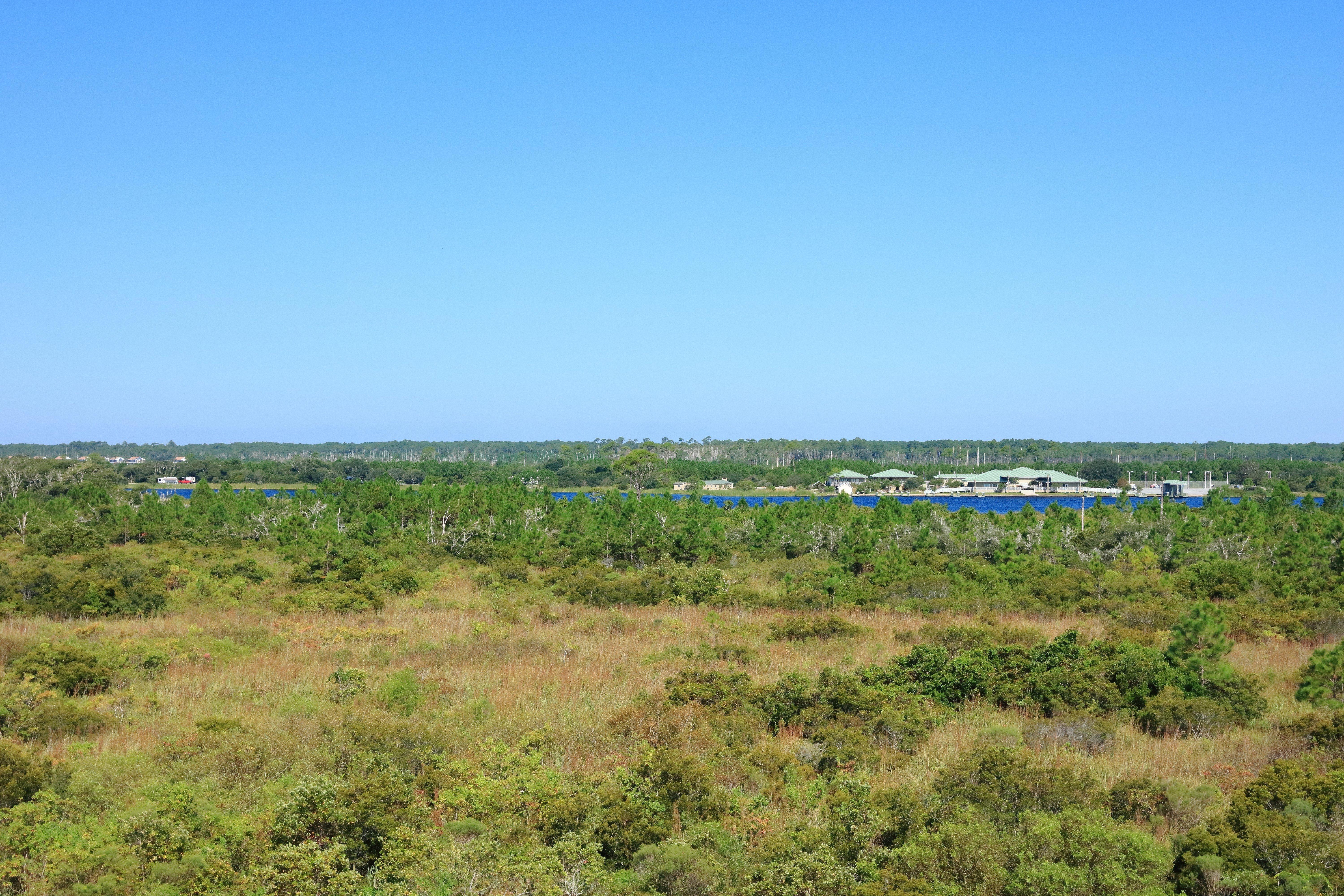 Hotel Indigo Orange Beach - Gulf Shores By Ihg Eksteriør billede